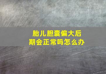 胎儿胆囊偏大后期会正常吗怎么办