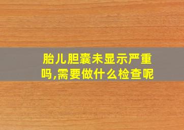 胎儿胆囊未显示严重吗,需要做什么检查呢