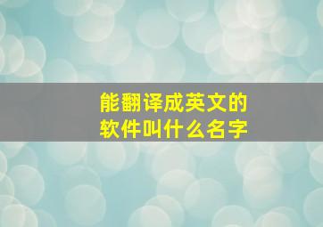 能翻译成英文的软件叫什么名字