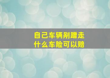 自己车辆剐蹭走什么车险可以赔