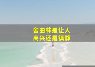 舍曲林是让人高兴还是镇静