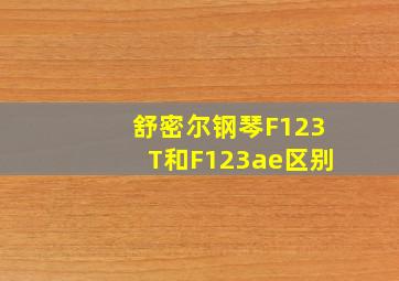 舒密尔钢琴F123T和F123ae区别