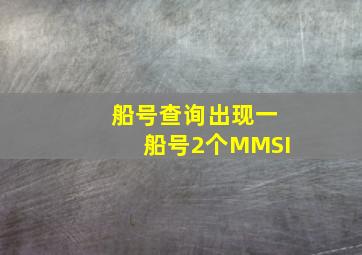 船号查询出现一船号2个MMSI