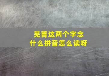 芜菁这两个字念什么拼音怎么读呀