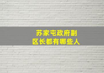 苏家屯政府副区长都有哪些人