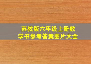 苏教版六年级上册数学书参考答案图片大全