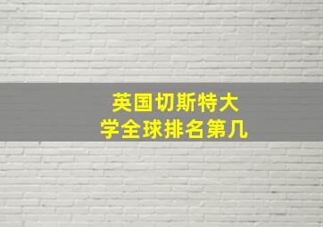 英国切斯特大学全球排名第几