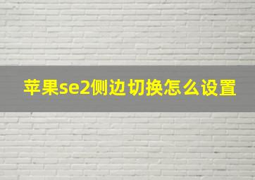 苹果se2侧边切换怎么设置