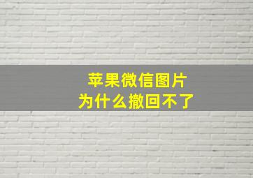 苹果微信图片为什么撤回不了