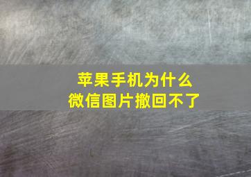 苹果手机为什么微信图片撤回不了