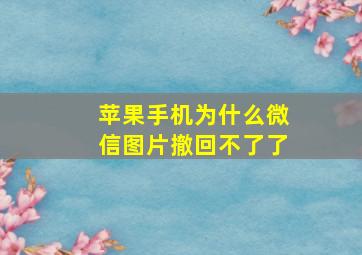 苹果手机为什么微信图片撤回不了了