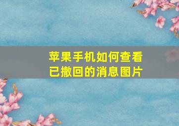 苹果手机如何查看已撤回的消息图片