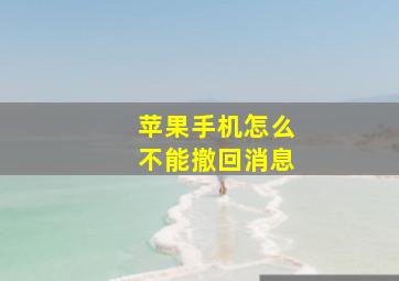 苹果手机怎么不能撤回消息