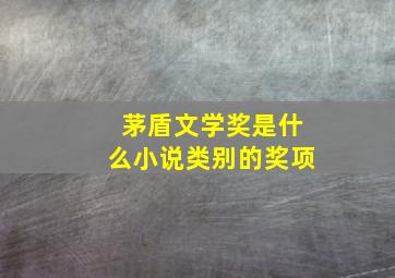 茅盾文学奖是什么小说类别的奖项