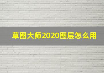 草图大师2020图层怎么用