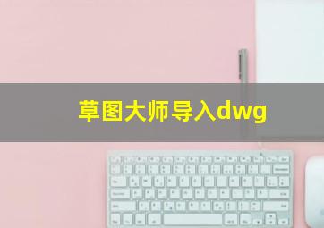 草图大师导入dwg