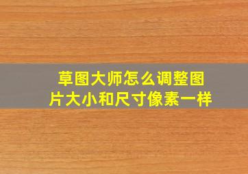 草图大师怎么调整图片大小和尺寸像素一样