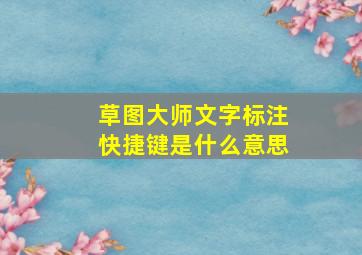 草图大师文字标注快捷键是什么意思