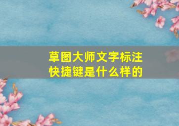 草图大师文字标注快捷键是什么样的