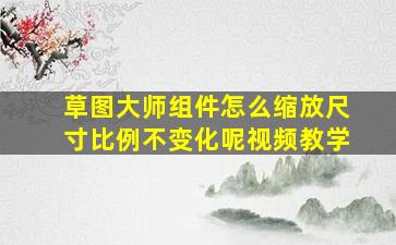 草图大师组件怎么缩放尺寸比例不变化呢视频教学