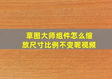 草图大师组件怎么缩放尺寸比例不变呢视频