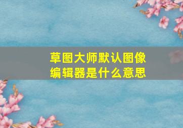 草图大师默认图像编辑器是什么意思