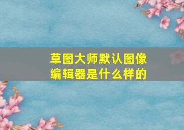 草图大师默认图像编辑器是什么样的