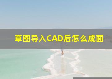 草图导入CAD后怎么成面