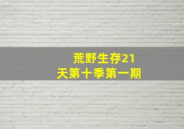 荒野生存21天第十季第一期