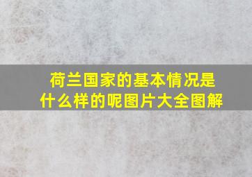 荷兰国家的基本情况是什么样的呢图片大全图解