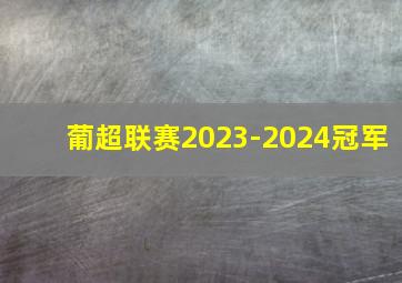 葡超联赛2023-2024冠军