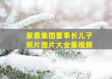 蒙泰集团董事长儿子照片图片大全集视频