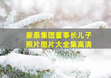 蒙泰集团董事长儿子照片图片大全集高清