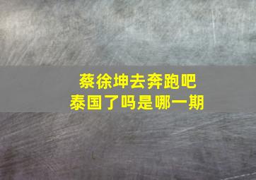 蔡徐坤去奔跑吧泰国了吗是哪一期