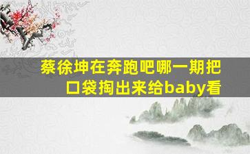 蔡徐坤在奔跑吧哪一期把口袋掏出来给baby看