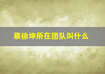 蔡徐坤所在团队叫什么