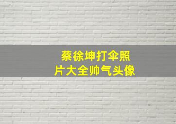 蔡徐坤打伞照片大全帅气头像