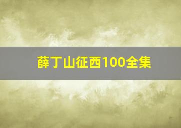 薛丁山征西100全集