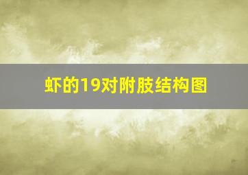 虾的19对附肢结构图