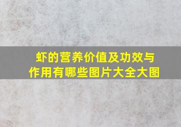 虾的营养价值及功效与作用有哪些图片大全大图