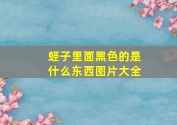 蛏子里面黑色的是什么东西图片大全