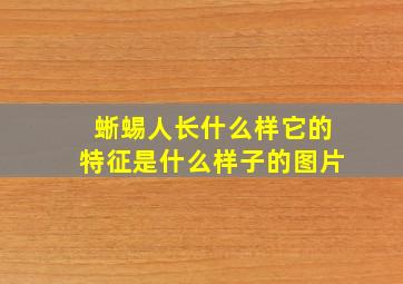 蜥蜴人长什么样它的特征是什么样子的图片