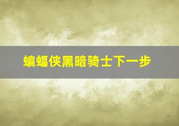 蝙蝠侠黑暗骑士下一步