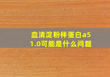 血清淀粉样蛋白a51.0可能是什么问题