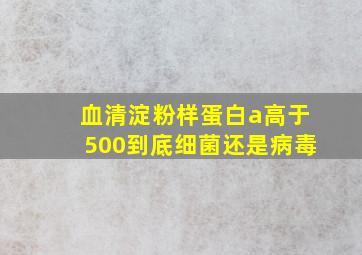 血清淀粉样蛋白a高于500到底细菌还是病毒