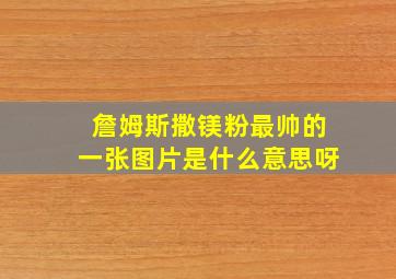 詹姆斯撒镁粉最帅的一张图片是什么意思呀