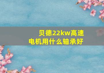 贝德22kw高速电机用什么轴承好