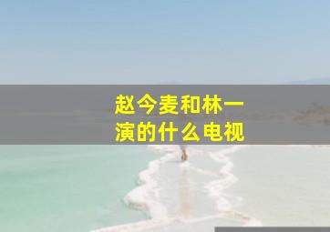 赵今麦和林一演的什么电视