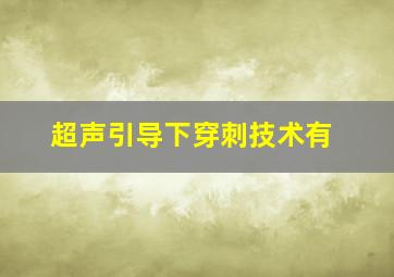 超声引导下穿刺技术有