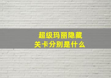 超级玛丽隐藏关卡分别是什么